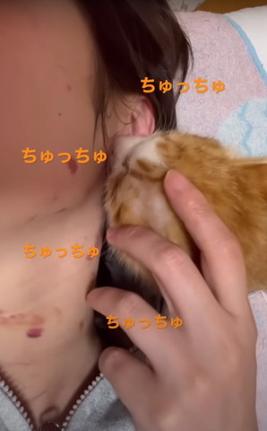 ちゅっちゅテロップ