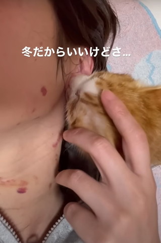 冬だからいいけどさテロップ