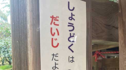 滋賀県 お寺 しょうどくはだいじ 消毒 聖徳太子 竜王観音禅寺 手描き 絵 イラスト