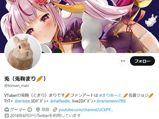 兎鞠まり　エイプリルフール　プロフィール画像　変えられなくなった