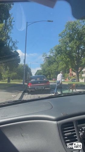 おじいちゃんのペースに合わせて歩く犬