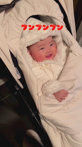 「笑顔で散歩を拒否る娘」