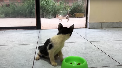 1カ月の成長記録