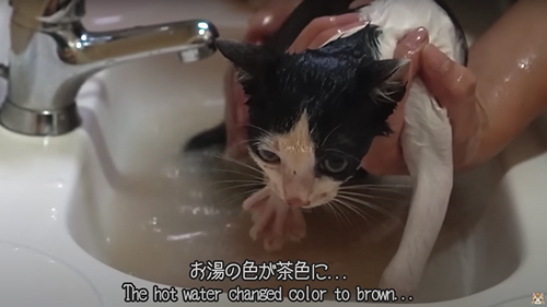 1カ月の成長記録