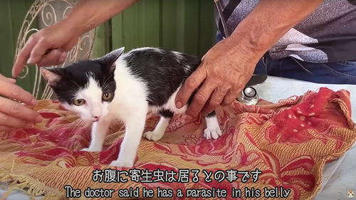 1カ月の成長記録