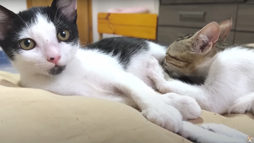 1カ月の成長記録