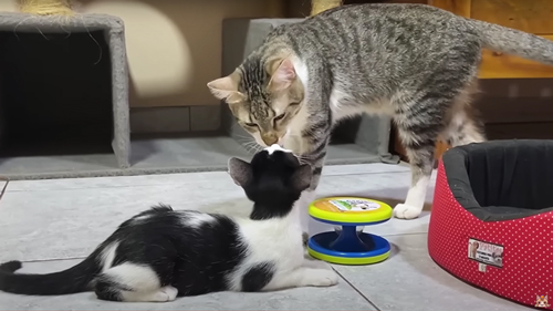 1カ月の成長記録