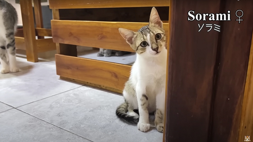 1カ月の成長記録