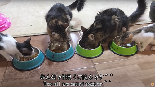 1カ月の成長記録