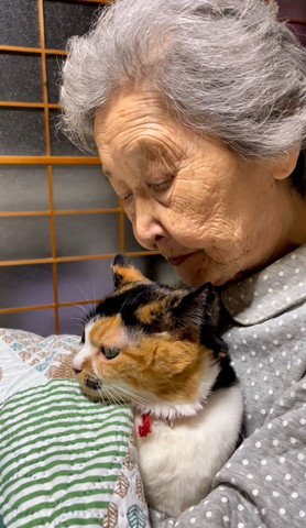 猫を見つめるおばあちゃん