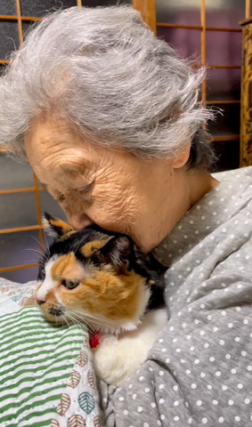 猫吸いするおばあちゃん