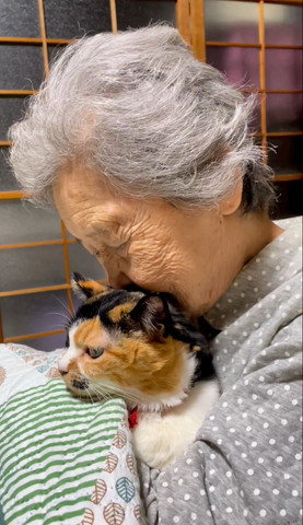 猫吸いするおばあちゃん