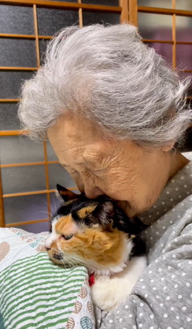 うっとりしながら猫吸いするおばあちゃん