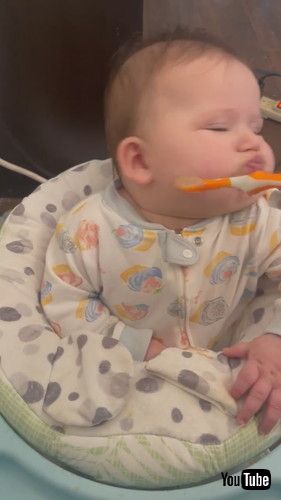 「Baby Says No More Bites || ViralHog」