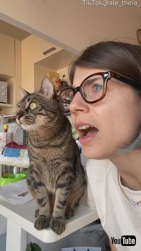 声まえする飼い主