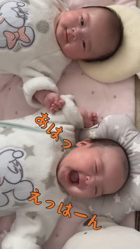 「母に話しかけられると嬉しくてたまらない双子赤ちゃん」