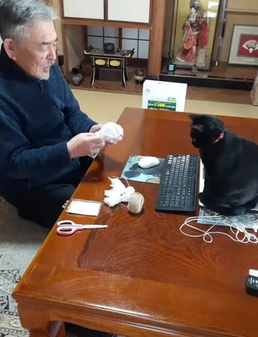 てるてる坊主を作るお父さんを見守る猫