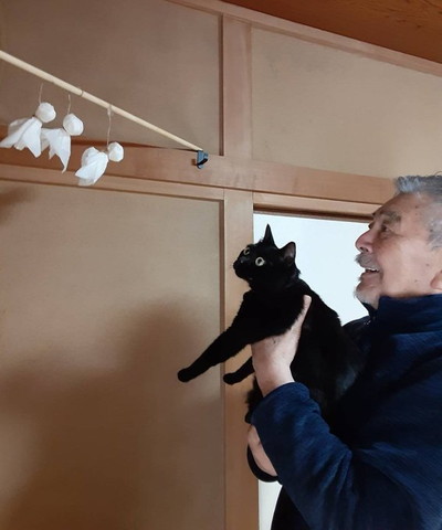 てるてる坊主見る猫