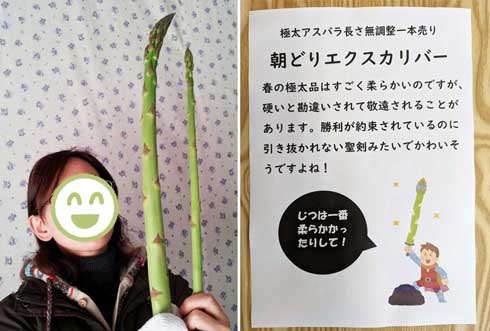 アスパラガス 朝どり エクスカリバー 聖剣 名付け ネーミング 野菜 農園 直売所