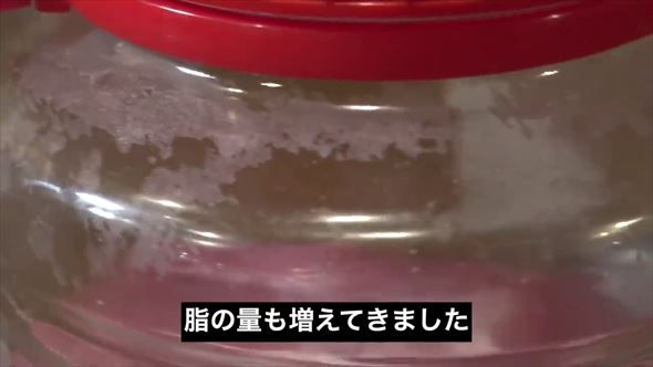 豚肉 肩ロース 検証