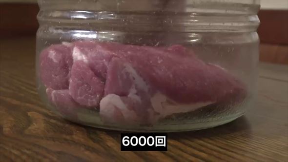 豚肉 肩ロース 検証