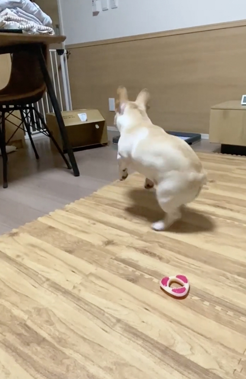 華麗なステップ