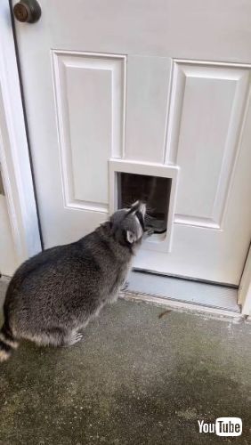 お顔をちかづけると……