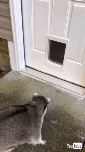 びっくり後退り