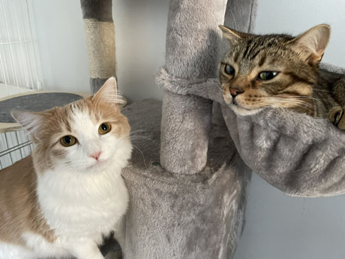 ツーショットを見せる教授と博士