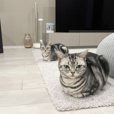 るーちゃんとララちゃん