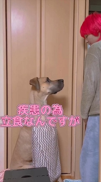 オススメ