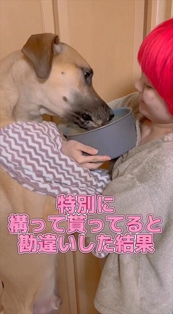 勘違いしたゴールデン