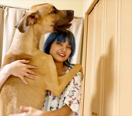 グレートデンを見たゴールデン