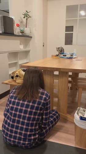 「だるまさんが転んだ！」