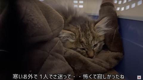 寒いお外で1人でテロップ