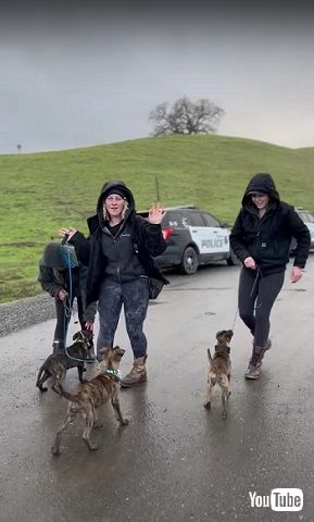 警察犬の訓練をする子犬たち