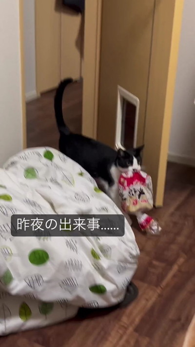 夜の食パン泥棒