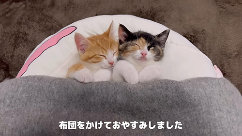 かわいすぎましたね