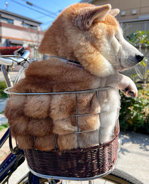 仲良し柴犬ちぎりパン♡