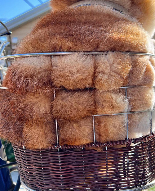 メロンパンみたいな柴犬の横顔