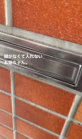 鍵がなくては入れないお姉ちゃんテロップ