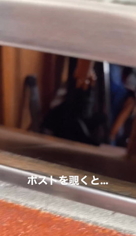 ポストをのぞくとテロップ