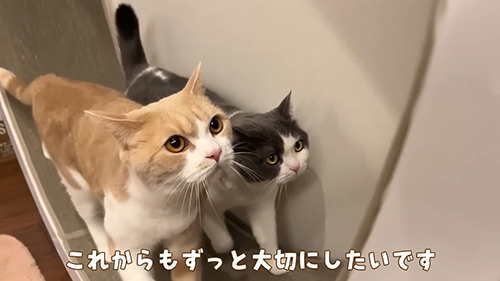 これからもずっと