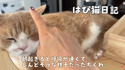 朝起きると