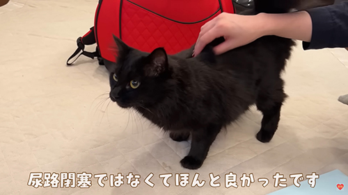 尿路閉塞