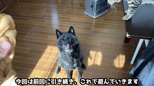 おもちゃを目の前にした一休さん