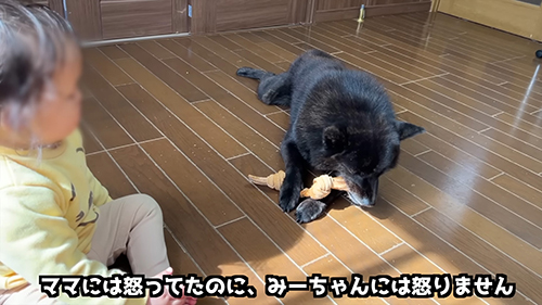 みーちゃんには起こりません