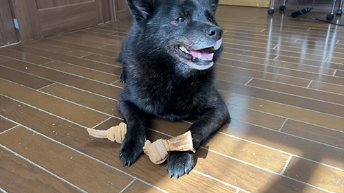 おもちゃで嬉しそうな一休さん