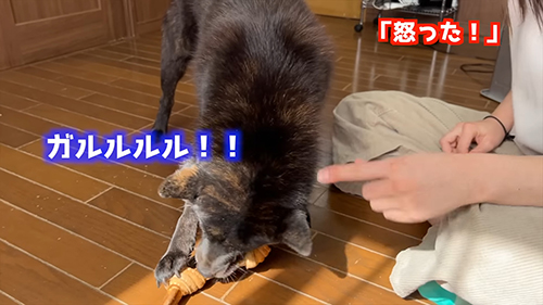 うなる一休さん