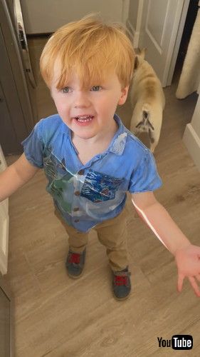 「Smith Needs To Call Taylor Swift Now || ViralHog」